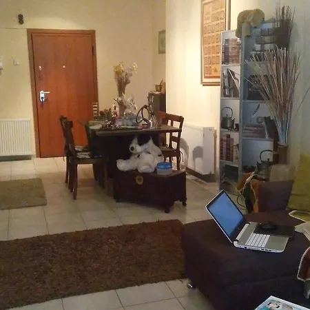 St Cozy Homestay szállás *